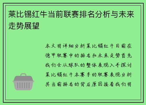 莱比锡红牛当前联赛排名分析与未来走势展望